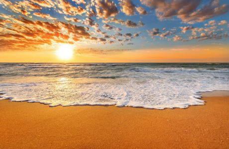 5th Annual Mayo Clinic Thyroid and Parathyroid Disorders Course 2024 5th Annual Mayo Clinic Thyroid and Parathyroid Disorders Course 2024