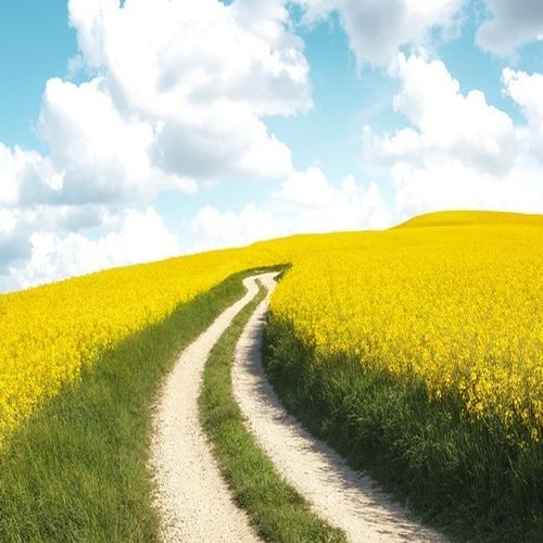 Hem/Onc Patient Cancer Education Series – Hepatobiliary and Pancreatic Cancer 2024 Hem/Onc Patient Cancer Education Series – Hepatobiliary and Pancreatic Cancer 2024